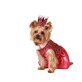 déguisement pour chien Taille S Princesse