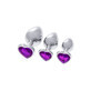 Anaalplug S Pleasures Zilver Lila
