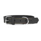 Hondenhalsband Gloria Oasis Zwart (1,5 x 40 cm)