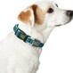 Collier pour Chien Hunter Basic Fil Marron Taille M Brown (33-50 cm)