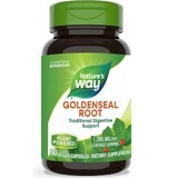 Gelbwurzel Rott, 30 Kapseln, Natures Way