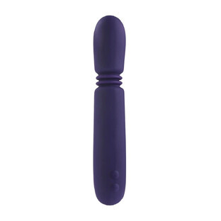 Vibrateur Bullet Evolved violet