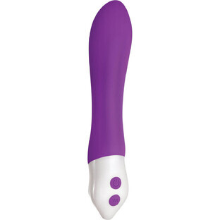 Bullet Vibrator Evolved Paars