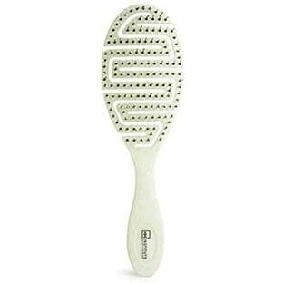 Brush IDC Institute Eco