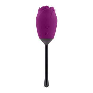 Stimulateur clitoridien Playboy Playboy violet