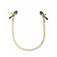 Nippelklemmen Kette Pipedream Fetisch Fantasy Gold