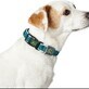 Hondenhalsband Hunter Basic Draad Blauw Maat M Blue (33-50 cm)