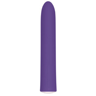 Mini-Vibrator Evolved Slim Paars