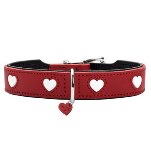 Collier pour Chien Hunter Love S/M 35-43 cm Rouge