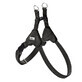 Harnais pour Chien Hunter SOHO MINI Noir XS/S