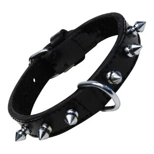 Hondenhalsband Gloria Zwart (30 cm)