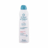 Atkuriamasis purškiklis Ecran 250 ml After Sun