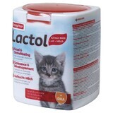 Katzenfutter Beaphar LACTOL Kitty Milk 500 g