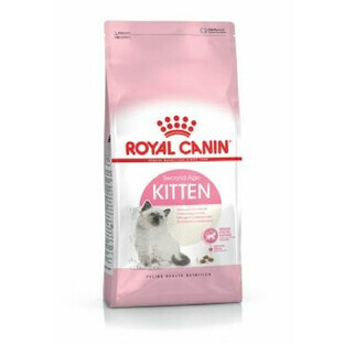 Kattenvoer Royal Canin Kitten Vogels 4 Kg