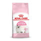Aliments pour chat Royal Canin Kitten Riz Oiseaux 2 Kg