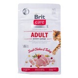 Mâncare pentru pisici Brit Care Grain Free Activity Support Adult Adult Pui Curcan 400 g