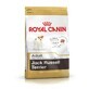 Voer Royal Canin Jack Russell Volwassen Kip Rijst Vogels 7,5 kg