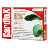 Gardlox Kräuterbonbons Salbei-Thymian 16 Stück
