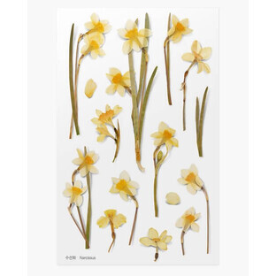 Adhesivos decorativos flor de narciso