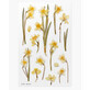Adhesivos decorativos flor de narciso