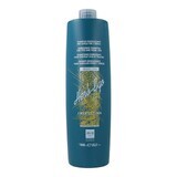 Shampoo Everego Herb-Ego Alterego energiespendend (1 L)