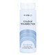Montibello Color Resurrection Culoare Potențator Gel ISCR Ice Silver (60 ml)