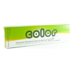 Vopsea Culoare Permanentă Soft Salerm F1 (100 ml)