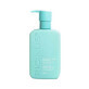 Volumen- und Entschlackungsshampoo, 350 ml, Ricinus