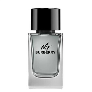 Burberry Mr. Burberry Apă de toaletă, 100 ml