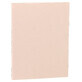 Offre album PASTEL PAINTER Rose