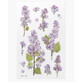 Adhesivos decorativos Flores lilas