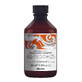 Davines Naturaltech Energizing Shampoo, 250 ml