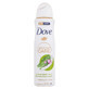 Dove Matcha green tea amp; sakura blossom Antiperspirant, 150 ml