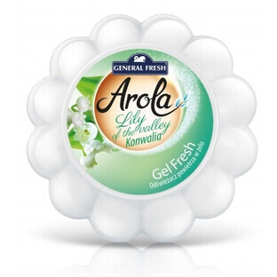 General Fresh, Air Freshener, Lily of the Valley, 150g