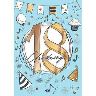 A5 18 BOY carnet