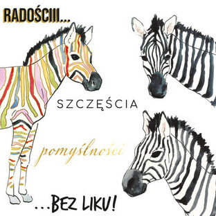 Trece KW ZEBRY