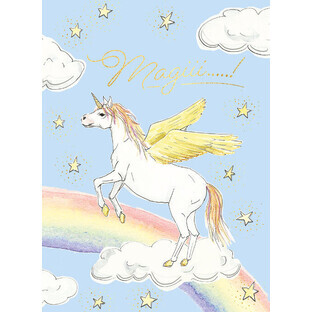 B6 carnet Rainbow Horse