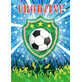 B6 Football in the Shield carnet