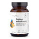 Aura Herbals Sabal palm 400 mg, 60 capsules