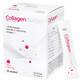 Collagen Nucleo, raspberry flavor, 30 sachets