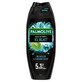 Palmolive Men Intense, Gel douche, Ice Blast, 500 ml