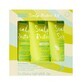Scalp Restore Anti-Schuppen Set, 3x50 ml, Umberto Giannini