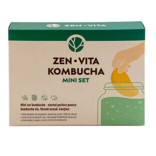Kombucha mini set, 330 g, Zenvita