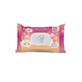 Lingettes humides pour bébés et enfants 60 Pierpaoli Bioconte