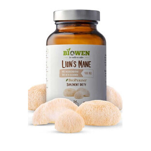 Löwenmähne Sonnenhut 400mg. 90 Kapseln Biowen
