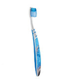 Turkey brush Young, +6 years, Trisa