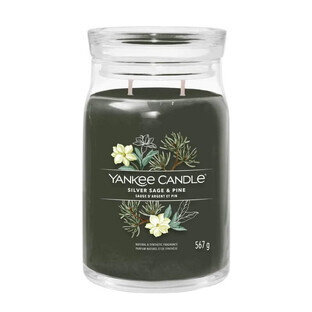 Yankee Candle Silber Salbei amp; Kiefer Große Duftkerze, 567 g