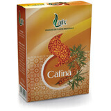 Thé Catina, 75 g, Larix
