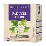 Hawthorn flower tea, 50g, Dacia Plant