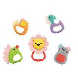 Set of 5 mockingbirds, Forest animals, Hola